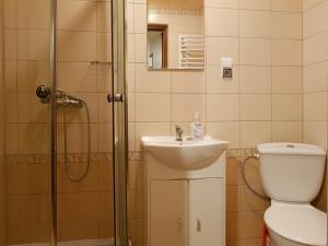 ビソバ・ズドルイにあるPokoje Przy Parkuのバスルーム(トイレ、洗面台、シャワー付)