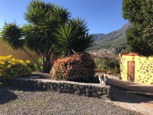 En generel udsigt til bjerge eller udsigt til bjerge taget fra feriehuset