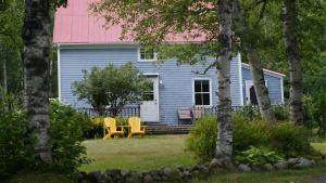 una casa azul con sillas amarillas y techo rosa en Maggie's Place on the Cabot Trail, en Birch Plain