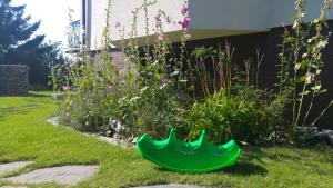 zieloną ławkę w trawie obok ogrodu w obiekcie Willa Etna w Dziwnówku