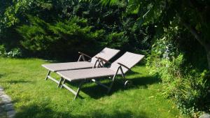 dos sillas sentadas en el césped en el patio en Willa Etna, en Dziwnówek