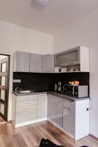 Kuchyň nebo kuchyňský kout v ubytování Apartment Pekarska 29
