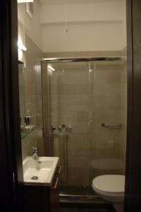 a bathroom with a shower and a toilet and a sink at Thalia Rooms in Kalabaka