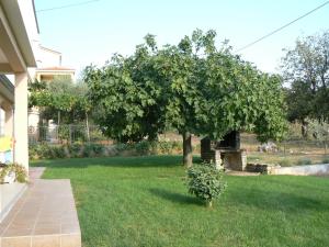 Zahrada ubytování Villa Dijana