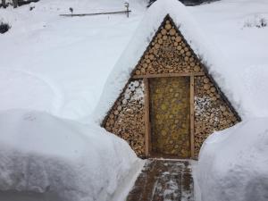 Alpine Chalet v zimě
