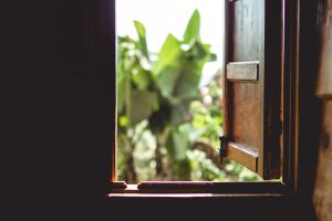 Gallery image of Ecolodge Rain in Pedregoso +13 photos