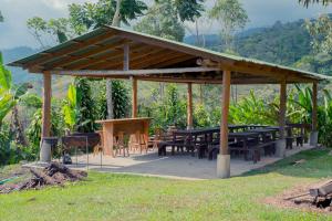 Phong cảnh thiên nhiên gần nhà nghỉ nhỏ