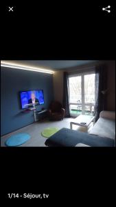 ein Wohnzimmer mit einem Bett und einem TV in der Unterkunft studio meublé avec balcon in Arcueil