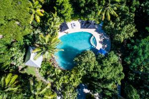 an overhead view of a pool in the middle of a forest at The Fiji Orchid in Lautoka