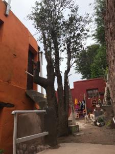 a tree next to a red building with a staircase at El Valle in Tilcara