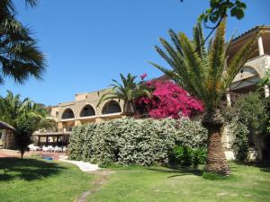 palma di fronte a un edificio con fiori rosa di Hotel Costa dei Fiori a Santa Margherita di Pula