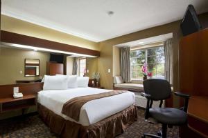 Habitación de hotel con cama grande y ventana en Microtel Inn & Suites by Wyndham Lithonia/Stone Mountain en Lithonia