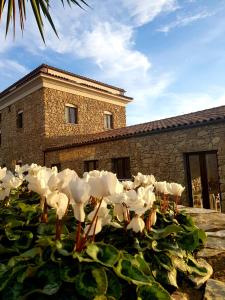 a bunch of white flowers in front of a building at Hotel Villa Flora Relais in Caltanissetta