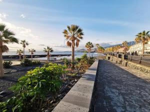 una pasarela a lo largo de la playa con palmeras y el océano en Home2Book Charming Caletillas Pool, en Candelaria