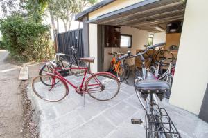 Jazda na bicykli v okolí ubytovania B&B PALAZZI