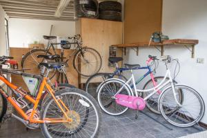 Jazda na bicykli v okolí ubytovania B&B PALAZZI