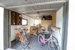 Jazda na bicykli v okolí ubytovania B&B PALAZZI