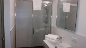 a bathroom with a shower and a sink and a mirror at Ferienwohnungen & Monteurunterkunft "Mainbogen-Blick" in Untereuerheim