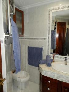 ein Badezimmer mit einem Waschbecken, einem WC und einem Spiegel in der Unterkunft Silgar I in Sanxenxo