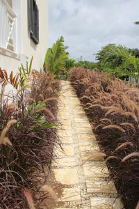 a stone path in front of a building with plants at Lantana Resort Barbados by Island Villas in Saint James