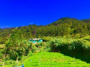 Natural landscape malapit sa guest house