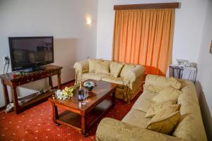 ein Wohnzimmer mit 2 Sofas und einem TV in der Unterkunft Arta Palace in Arta