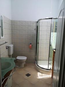 a bathroom with a shower and a toilet and a sink at Apartman Rosanda 1 in Premuda