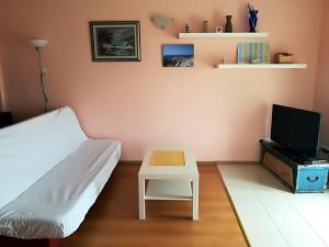 TV a/nebo společenská místnost v ubytování Apartman Rosanda + 14 fotografií