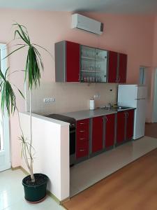 Kuchyň nebo kuchyňský kout v ubytování Apartman Rosanda