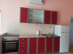 Kuchyň nebo kuchyňský kout v ubytování Apartman Rosanda