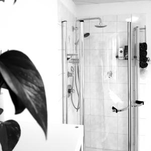 baño con ducha y puerta de cristal en Adonde, en Neuried