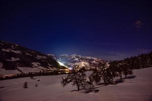 Φυσικό τοπίο κοντά σε αυτό το δωμάτιο σε οικογενειακή κατοικία