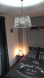 ein Schlafzimmer mit einem Bett und einer von der Decke hängenden Lampe in der Unterkunft chambre d'hôte - La ruche des Bleuets in Mulsanne