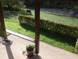 Gallery image of Au Coin des Fagnes in Jalhay