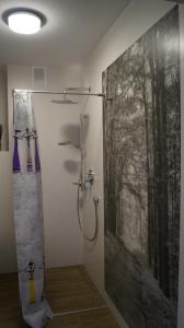 Kúpeľňa v ubytovaní Szczawnica Apartament Kaja + 19 fotografií
