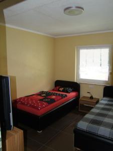 Zimmer mit einem Bett, einem TV und einem Fenster in der Unterkunft Ferienhaus "Kräuterhexe" mit Wasserbett 200x200cm in Wernigerode