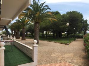 a row of palm trees in a park at Pis la rapita in Alcanar