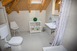 a small bathroom with a toilet and a sink at Guest House Kukuljica 2 in Zaton +37 photos