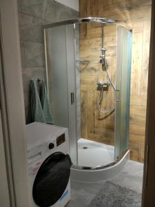 eine Dusche mit Glastür im Bad in der Unterkunft Apartament Zielono Mi in Kołobrzeg