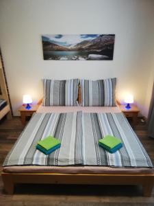 Postel nebo postele na pokoji v ubytování Apartmany Agatha