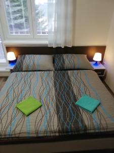 Postel nebo postele na pokoji v ubytování Apartmany Agatha