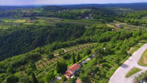 Příroda nedaleko apartmánu