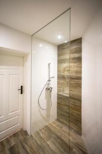 una ducha en un baño con puerta de cristal en MoHo L, en Wroclaw