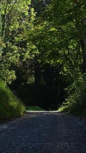 Příroda nedaleko apartmánu