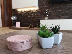 Fotografia z galérie ubytovania Romantic Chopok Juh Apartment 22 v Táloch