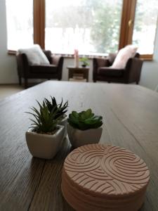 Posedenie v ubytovaní Romantic Chopok Juh Apartment 22