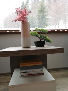 Fotografia z galérie ubytovania Romantic Chopok Juh Apartment 22 v Táloch