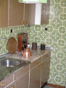 een keuken met een wastafel en een waterkoker bij Oportobestview-TopFlat in Porto +29 foto's