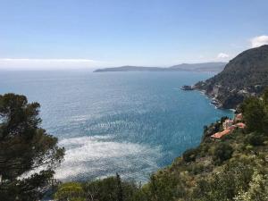 een uitzicht op een grote hoeveelheid water bij Beautiful Villa 5 min from Monaco in Cap d'Ail