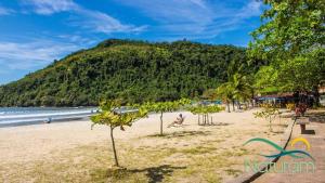 a beach with palm trees and a mountain at Vila Capilano Ubatuba in Ubatuba